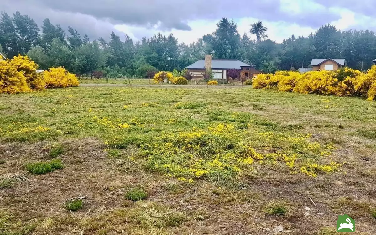 Terreno en Venta en Vega Chica, San Martin De Los Andes imagen 1