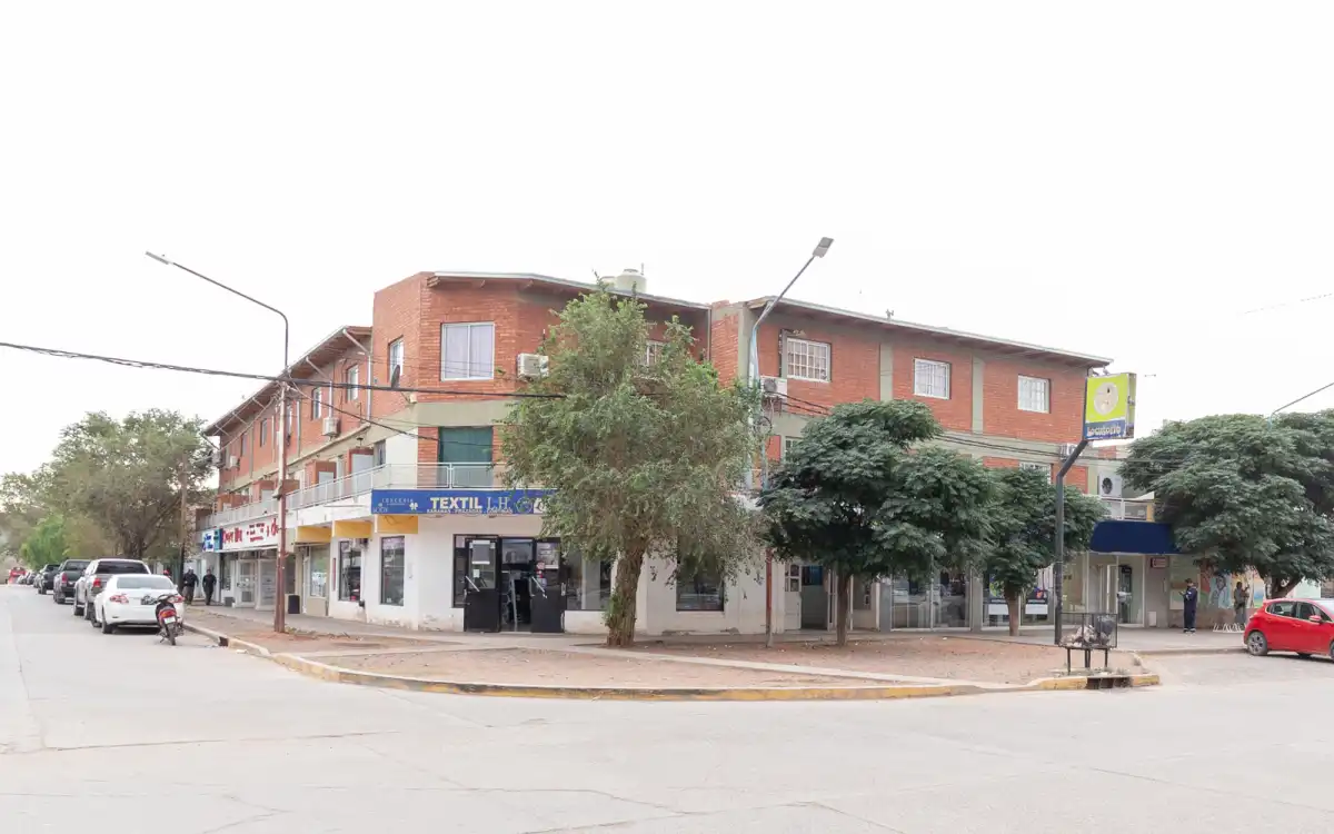 Venta Complejo Inmobiliario Céntrico En Rincón De Los Sauces Vaca Muerta imagen 3